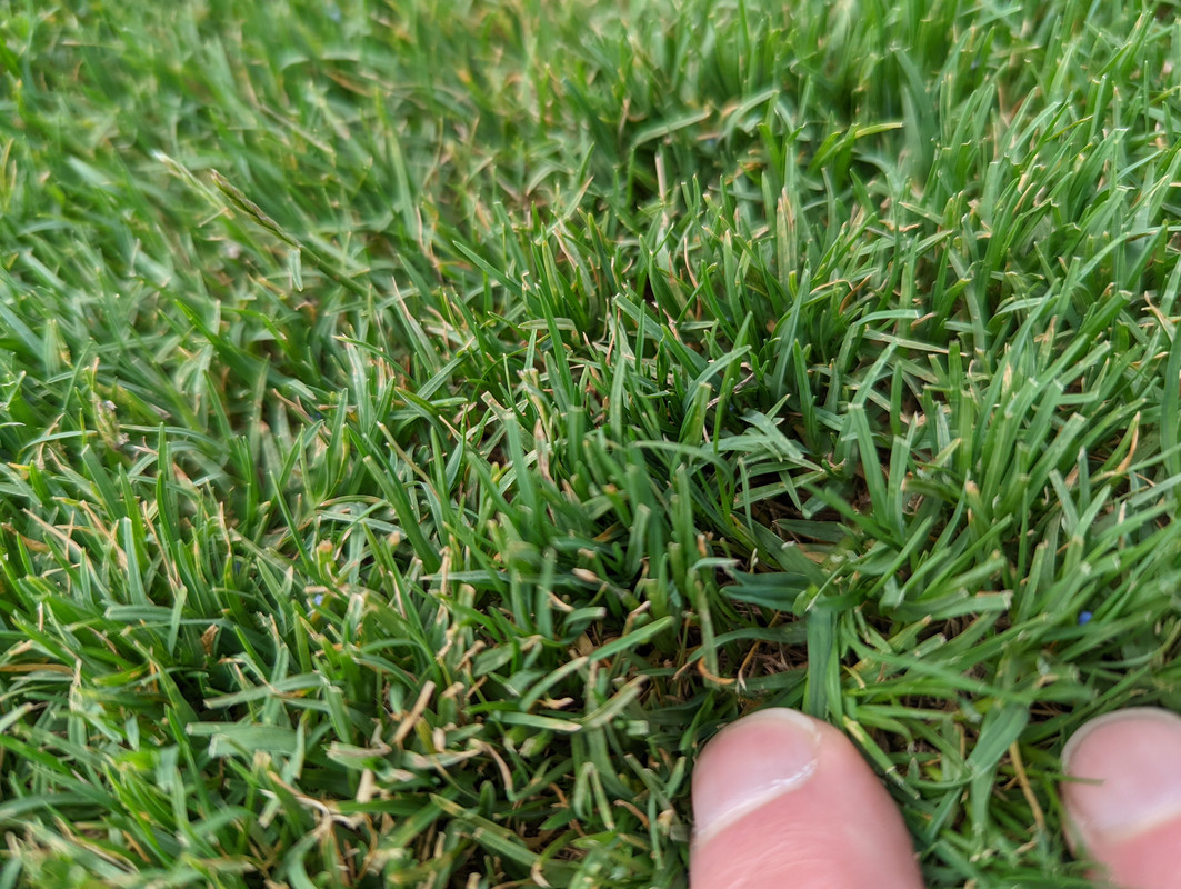 PXL_20220523_200136433.MP