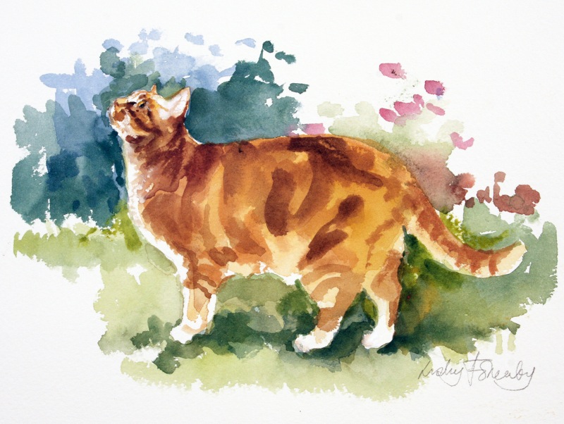 GINGER-CAT-IN-GARDEN-1-c28718-1