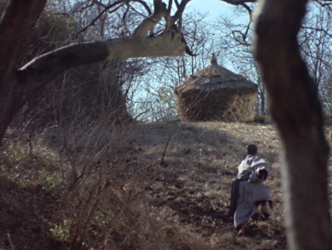 vlcsnap-2025-06-08-02h27m41s185