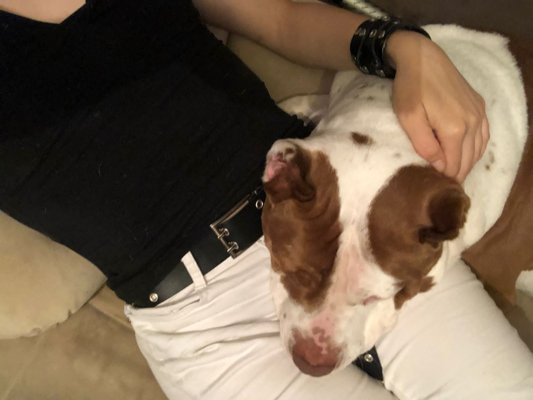 10232C11-2A15-4800-937E-2598D2F5022E