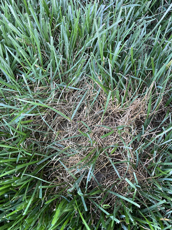 4813193B-B32C-44B2-A4A5-0AACD08ECB86