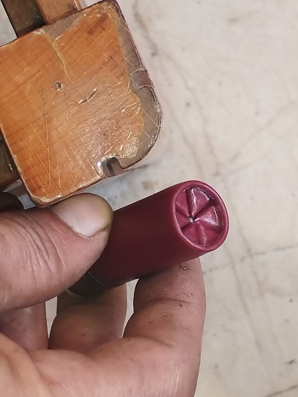 Picture_20240814102811