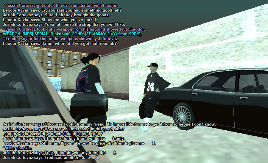 SSRP-13.png