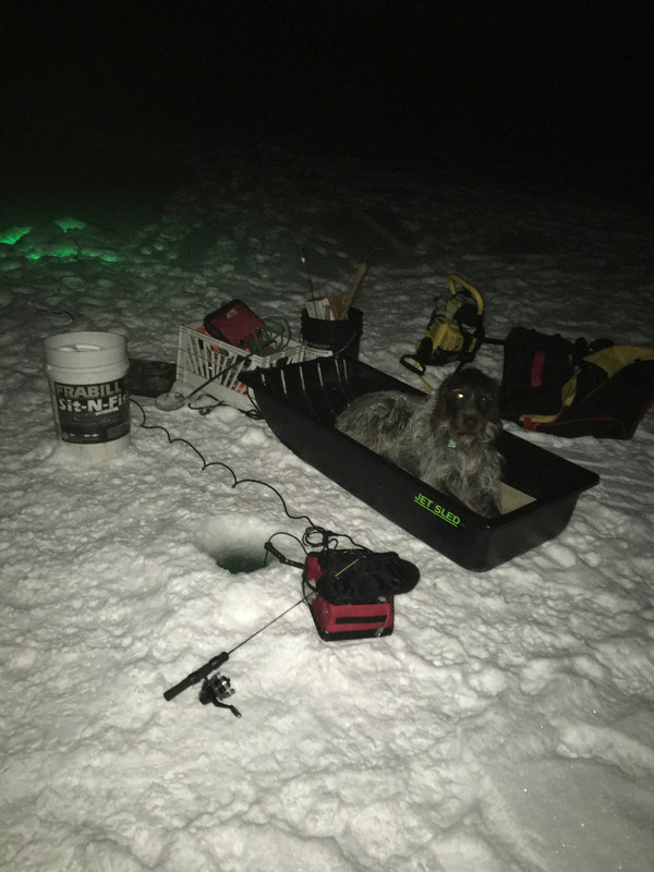 1DB747BC-ACCD-4ADF-B64E-6E3BE7A32AC4