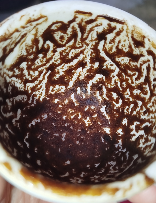 IMG ٢٠٢٦٠١٠٤ ١٥٣٨٢٦