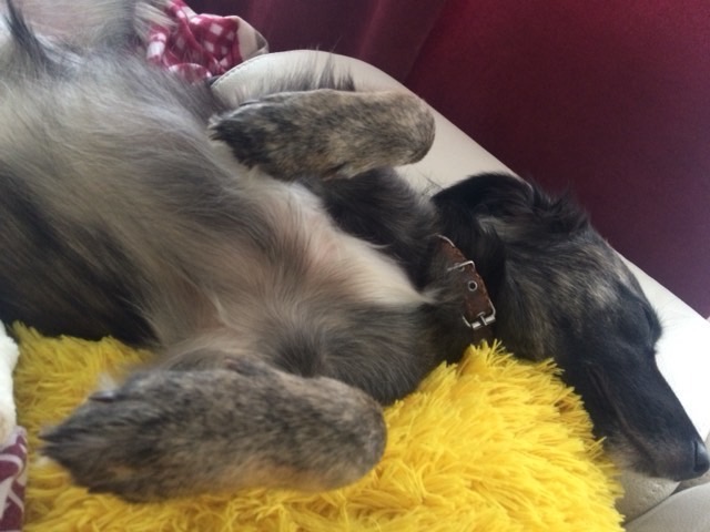 59AB2B15-140B-407F-A799-C4FAC1E29414