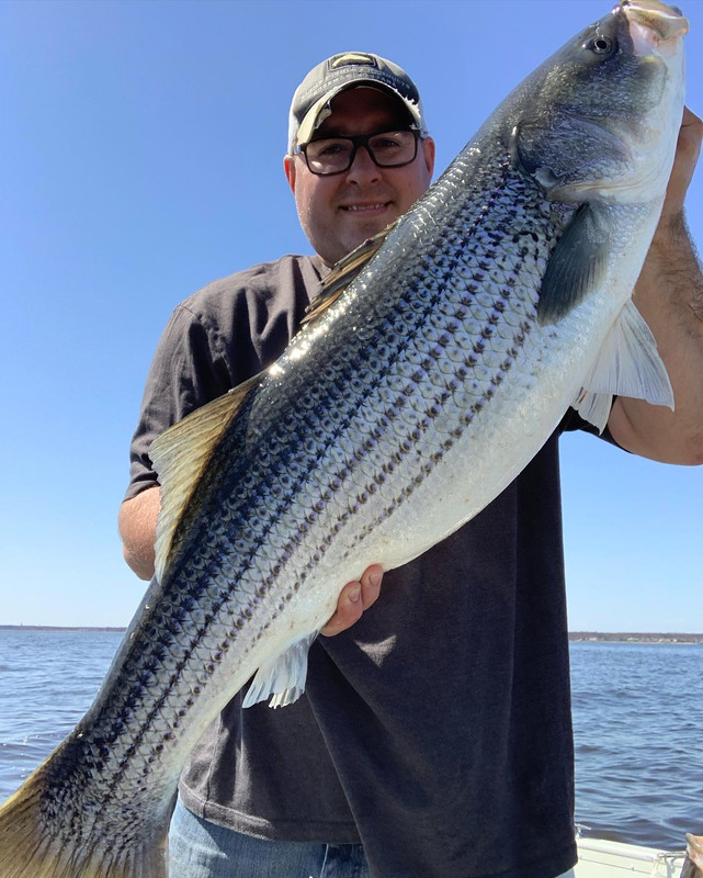 DC95840B-8EAE-42C4-A136-366C01881993