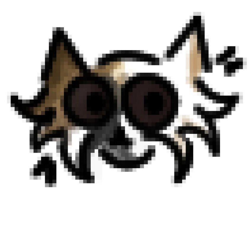 IMG_20250628_133233_755