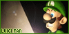 Luigi fan