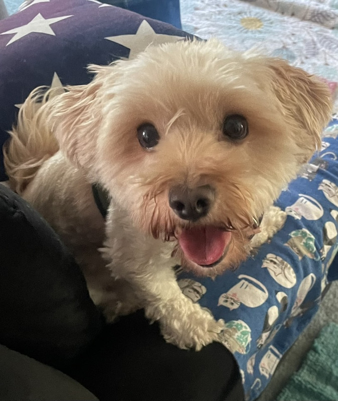 B5611EE8-2556-4873-A9B8-2558B0599246_1_105_c