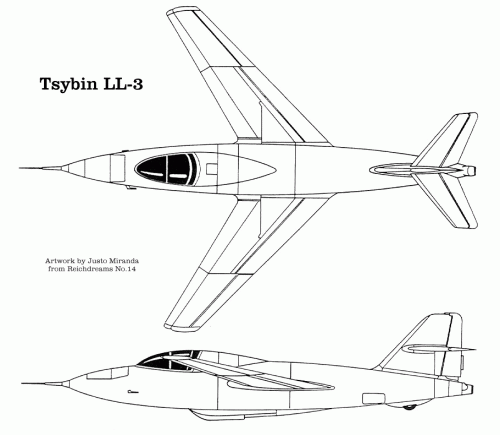 T3-01.gif