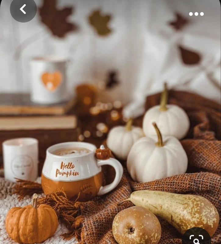 Screenshot_20231031_172712_Pinterest