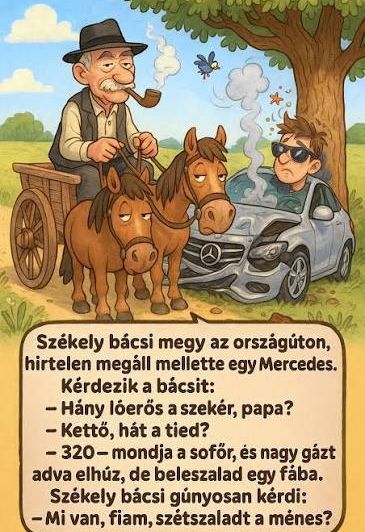 https://i.postimg.cc/fLmfKkG9/szekely-bacsi-megy.jpg