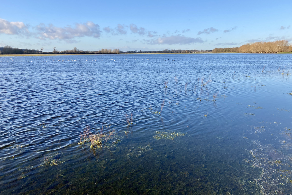 282B4722-A492-495F-95B7-4FFA4EA4FBF9