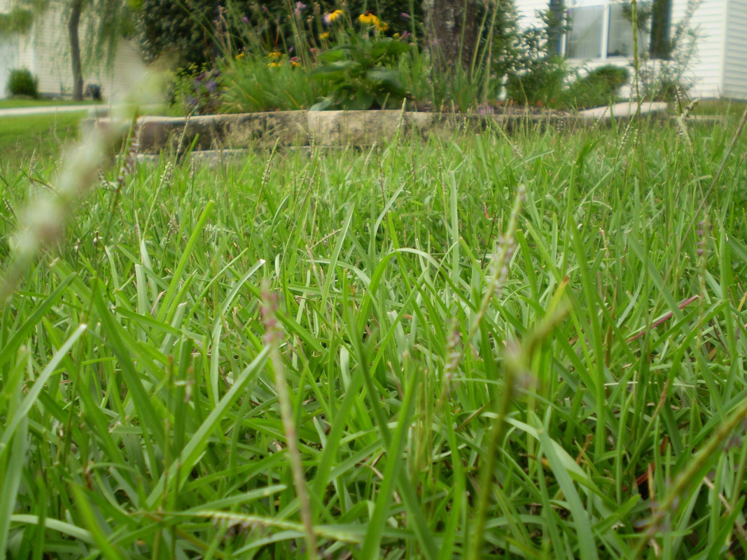 221407_408202012560185_732321821_o