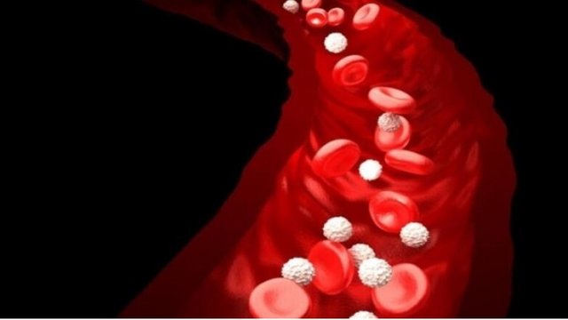 thromvosis.jpg