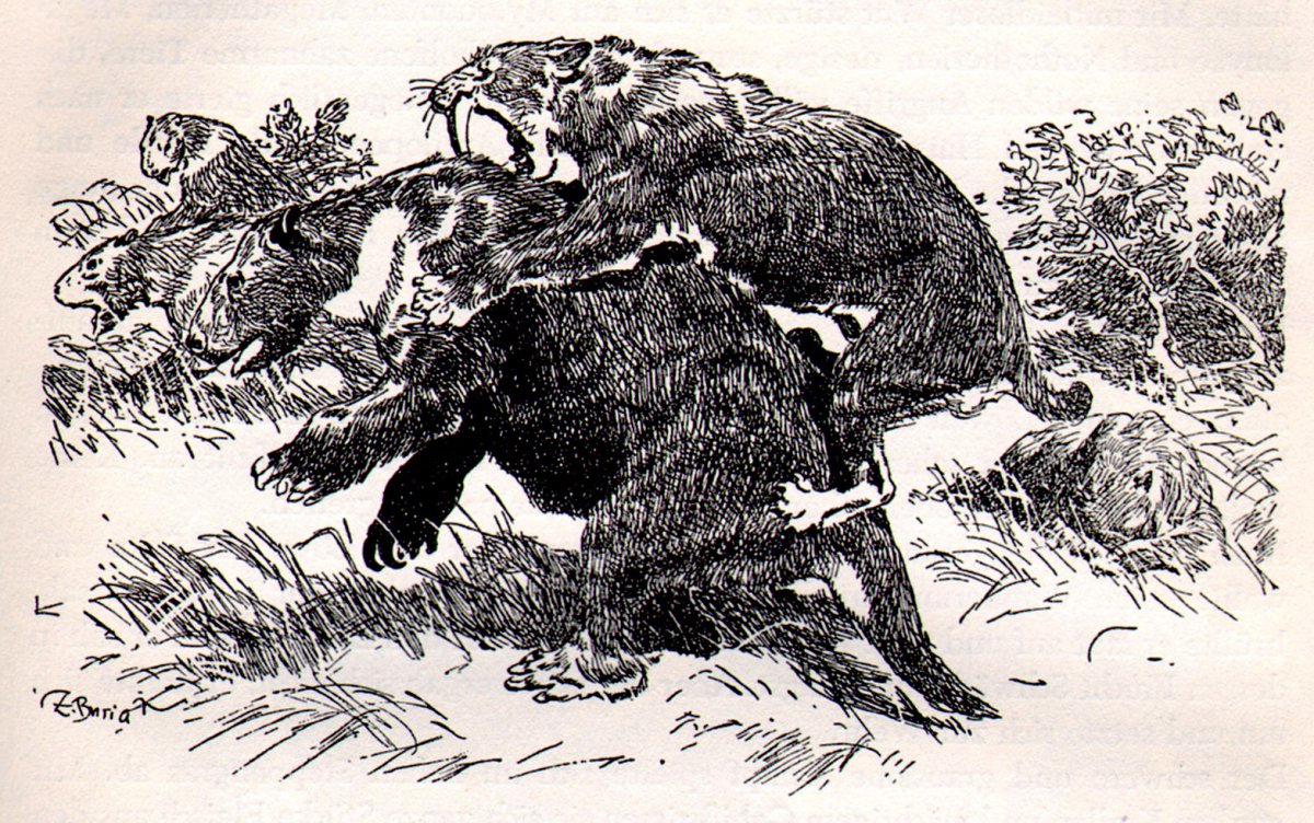 1681771414_pictures-pibig-info-p-burian-zdenek-illyustratsii-pinterest-19