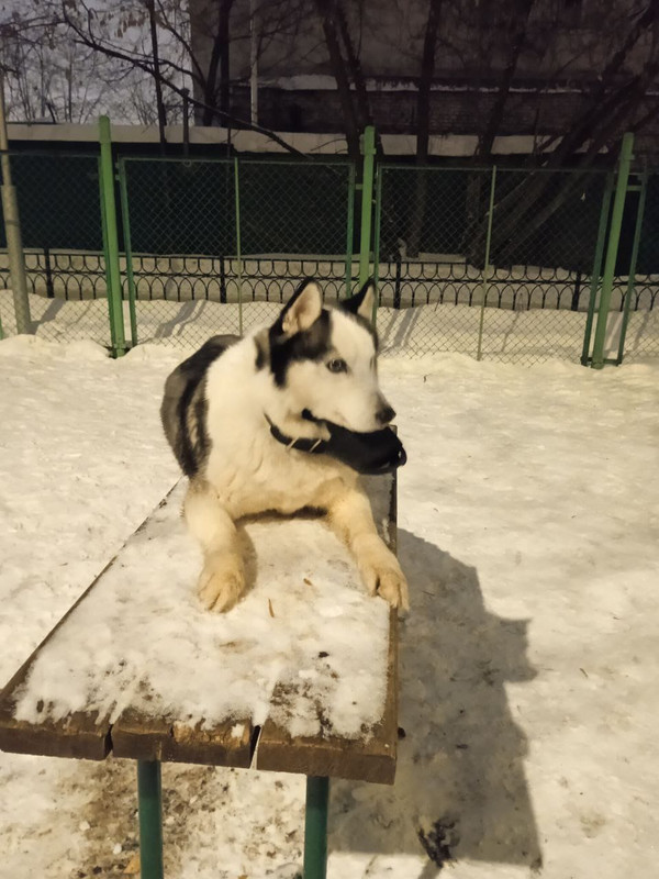 BB4A744F-EA3C-4C9F-A453-92D77E80A6B9