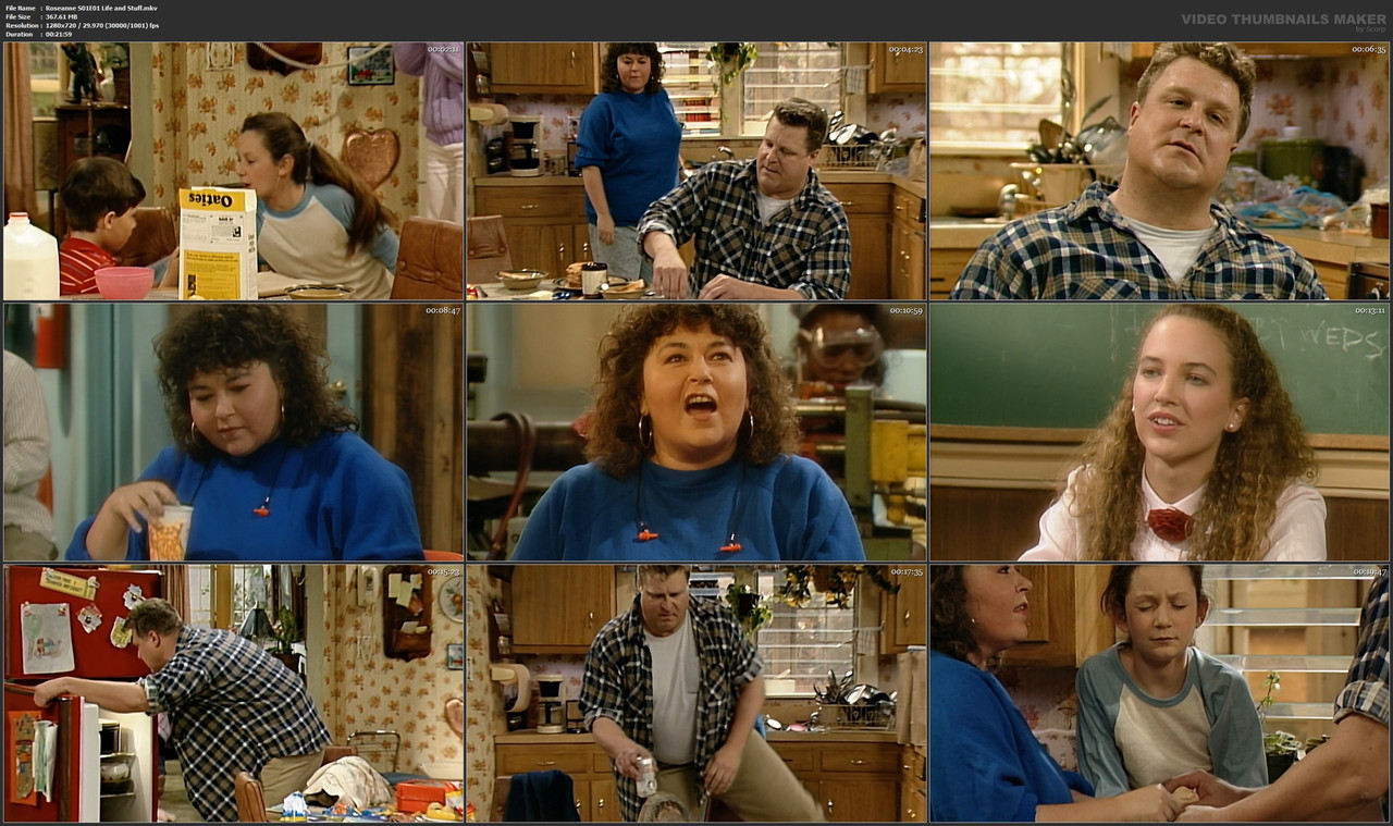 Roseanne S01E01 Life and Stuff.mkv