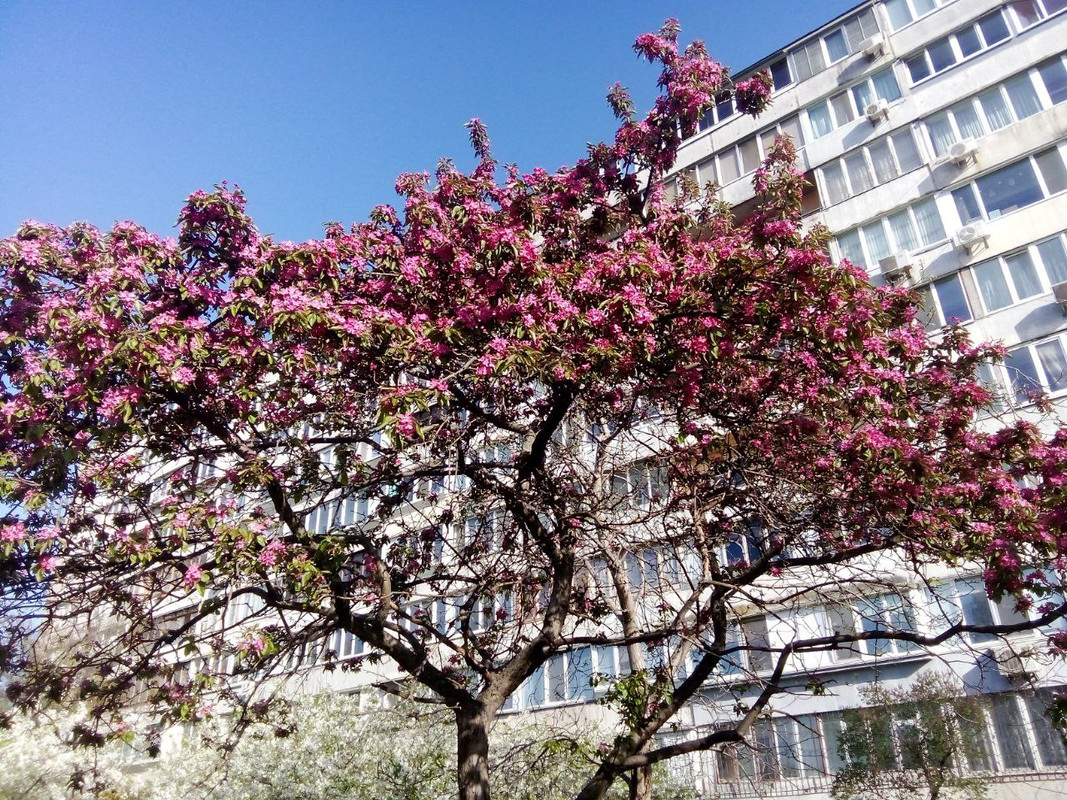 photo_2025-04-22 9.56.09 пп