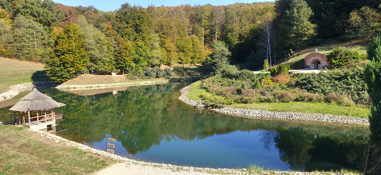 IMG20231029112259.jpg