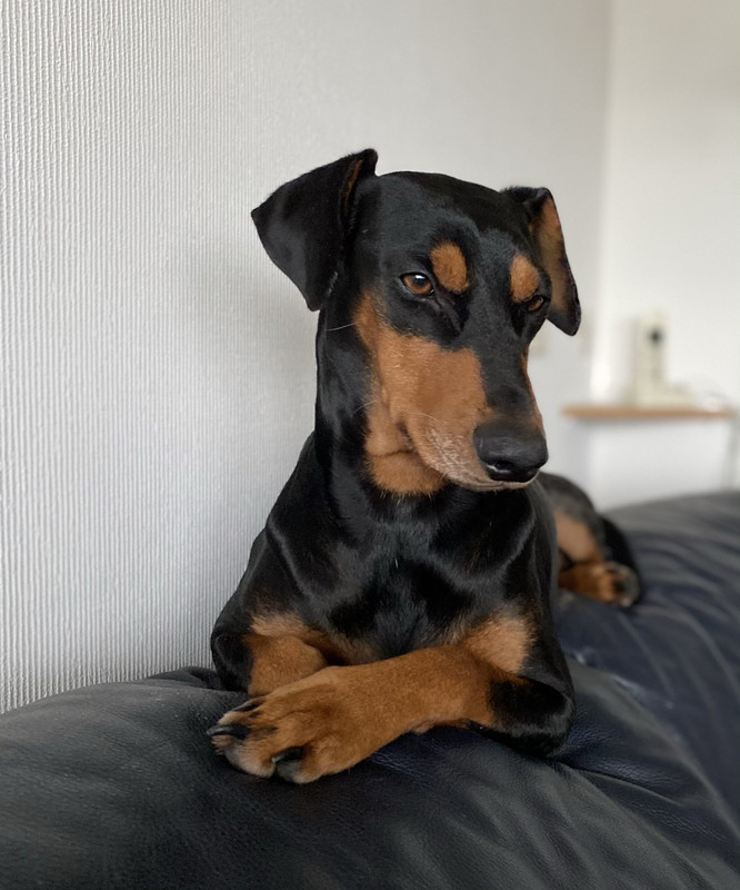 209F5A55-6148-4706-965B-821104E76193