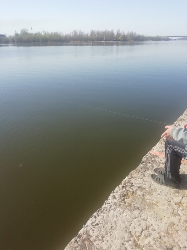 Изображение 1196