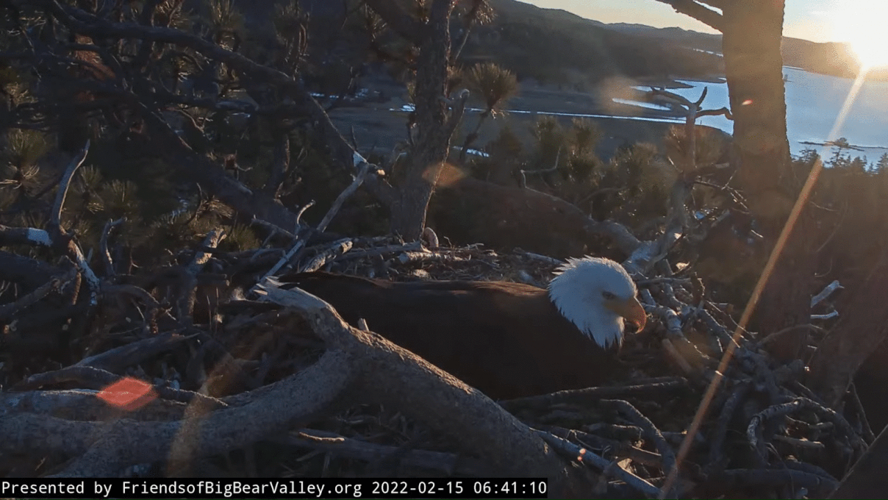 Webp.net-gifmaker (3)