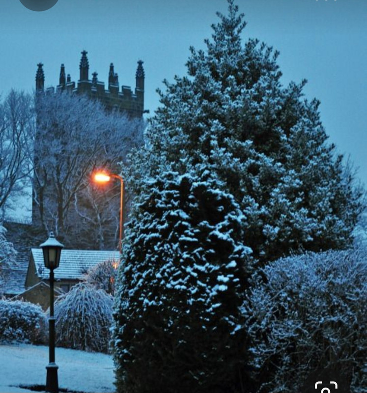 Screenshot_20231024_132458_Pinterest