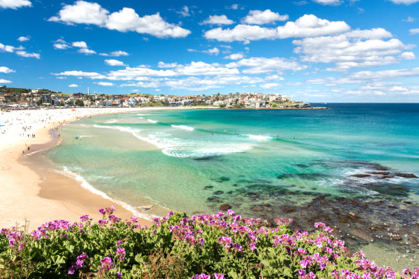 Bondi Beach