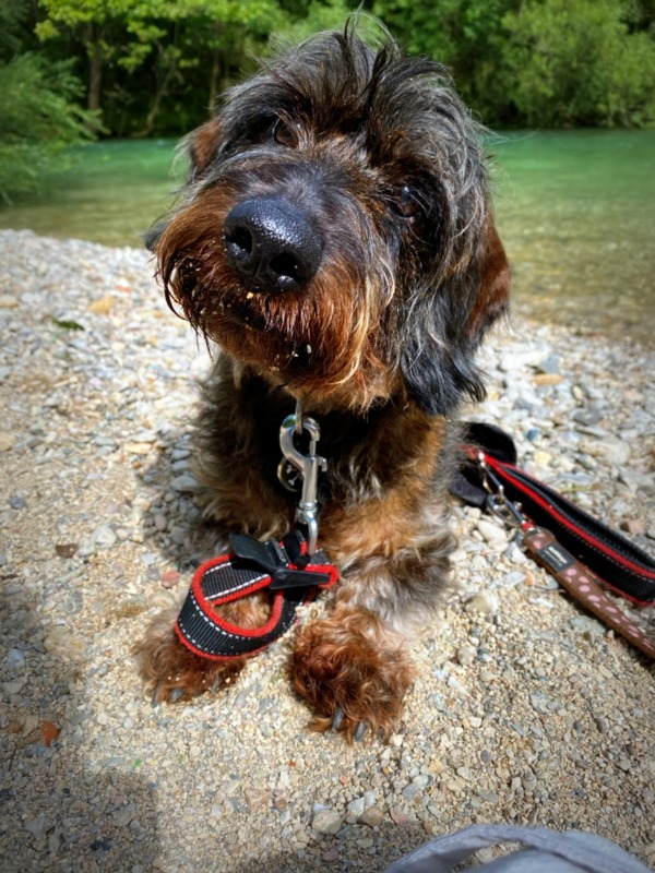 [Image: IMG-0157.jpg]