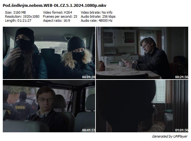 Pod šedivým nebem / Pod szarym niebem (2024)