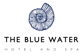 The Blue Water Logo Placeholder