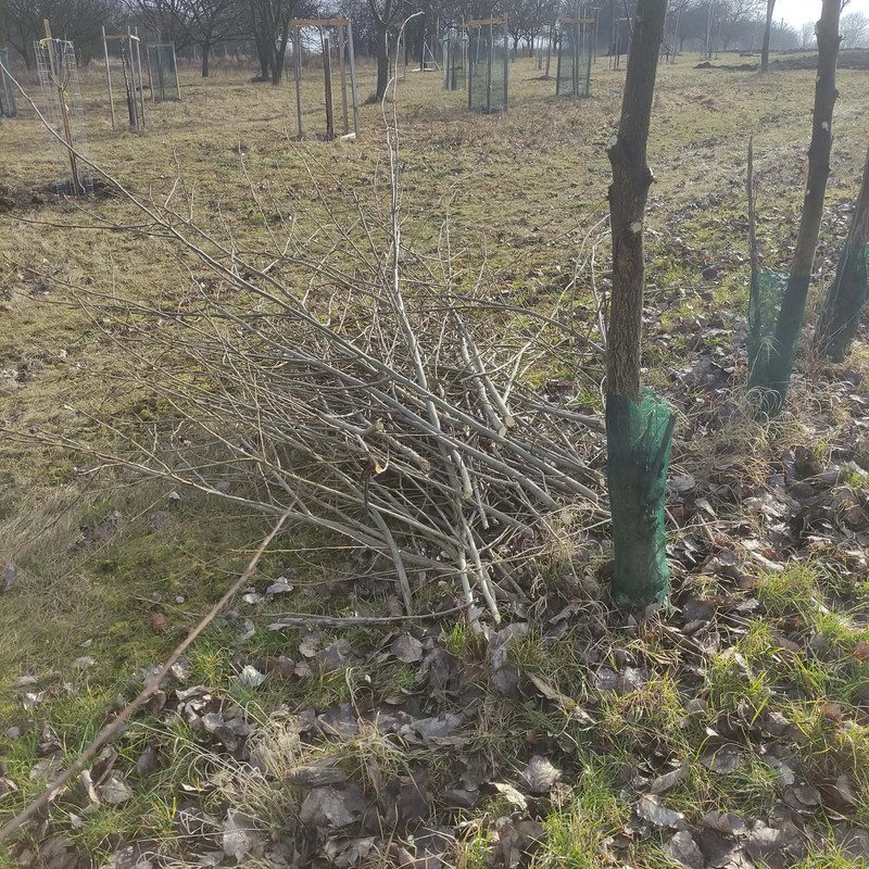 629852177 870898815744354 2284766806857878166 n