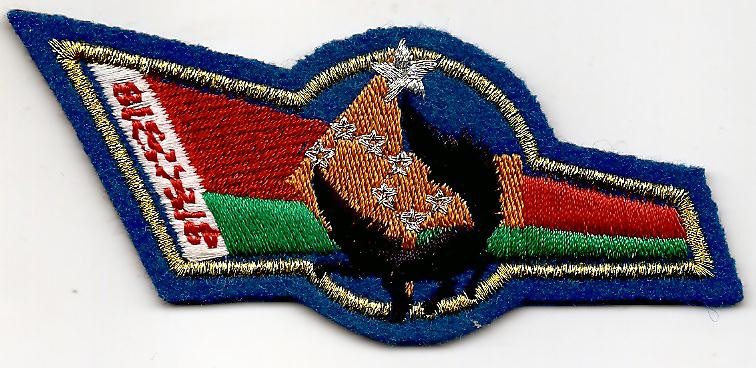 image (3)