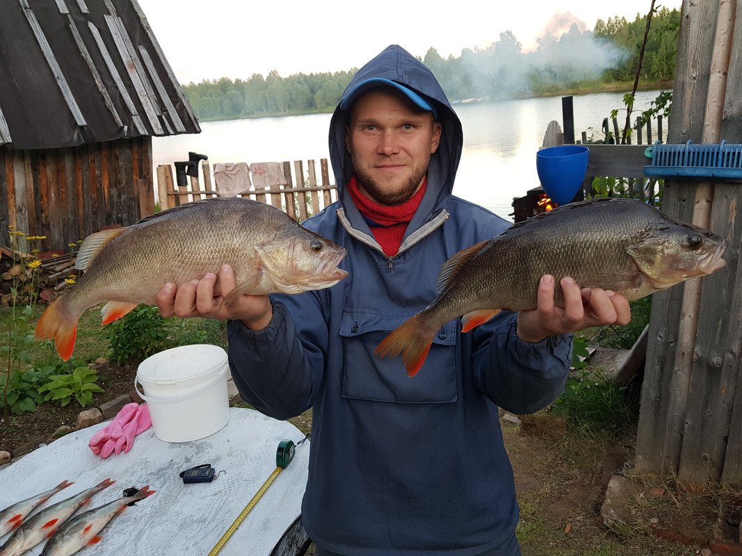 15 джиг спиннинг судак щука мастер-класс Куляпин Андрей катушка приманка окунь