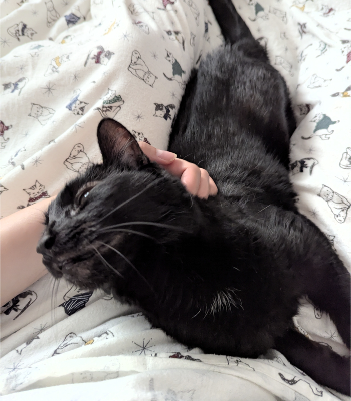 Screenshot 20260323 155337