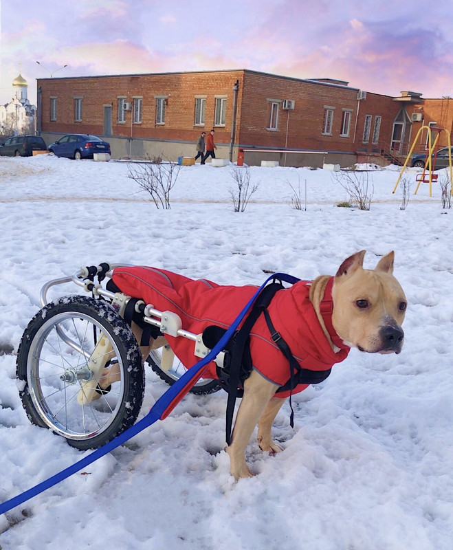 7A7928FB-ED22-4175-97C9-561AB1084105