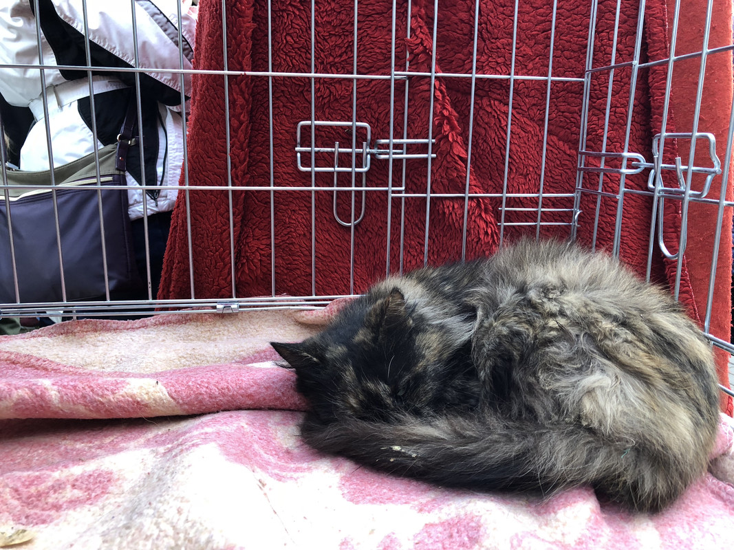 B1E1EE35-CFE8-4267-9041-06BE9AF1D945