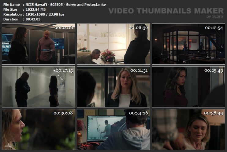 NCIS Hawai'i - S03E05 - Serve and Protect.mkv