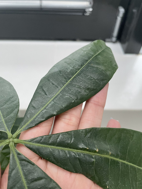 F8178B7B-2930-4231-996D-1CBDBE97EEB9