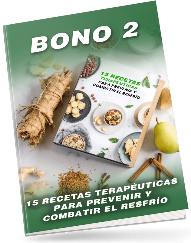 Bono 2