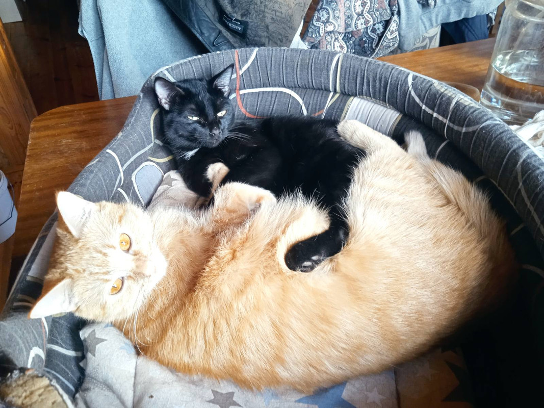 IMG-3593b9af247506b9d601452291bd092e-V