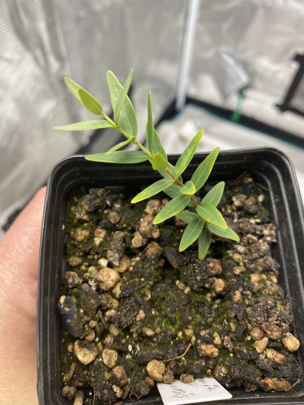 B0BC31BD-4477-4128-B7EB-DCDAFFDFD45D