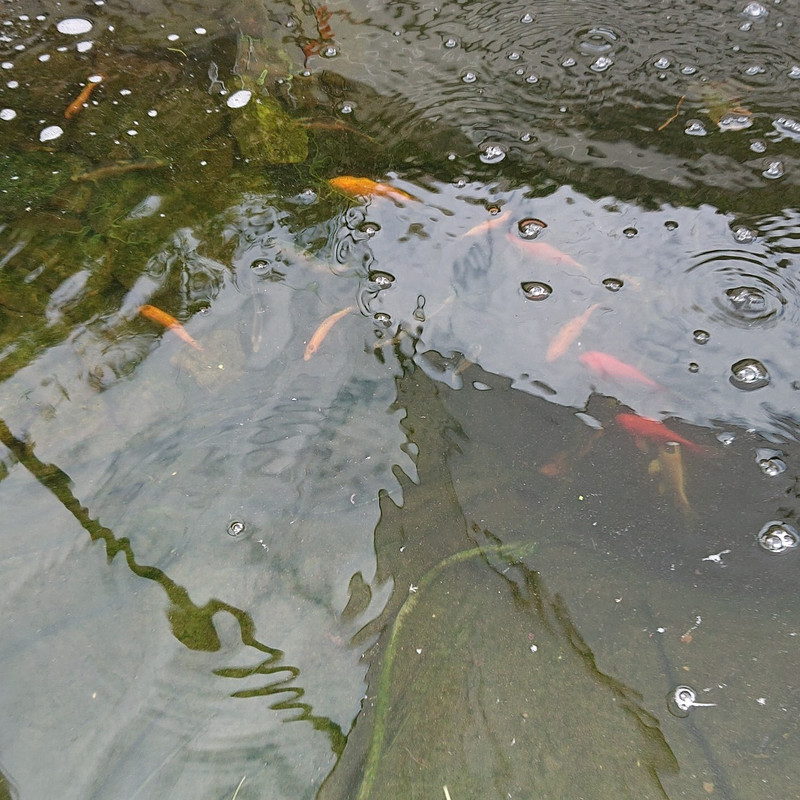 IMG_20180712_151731_594