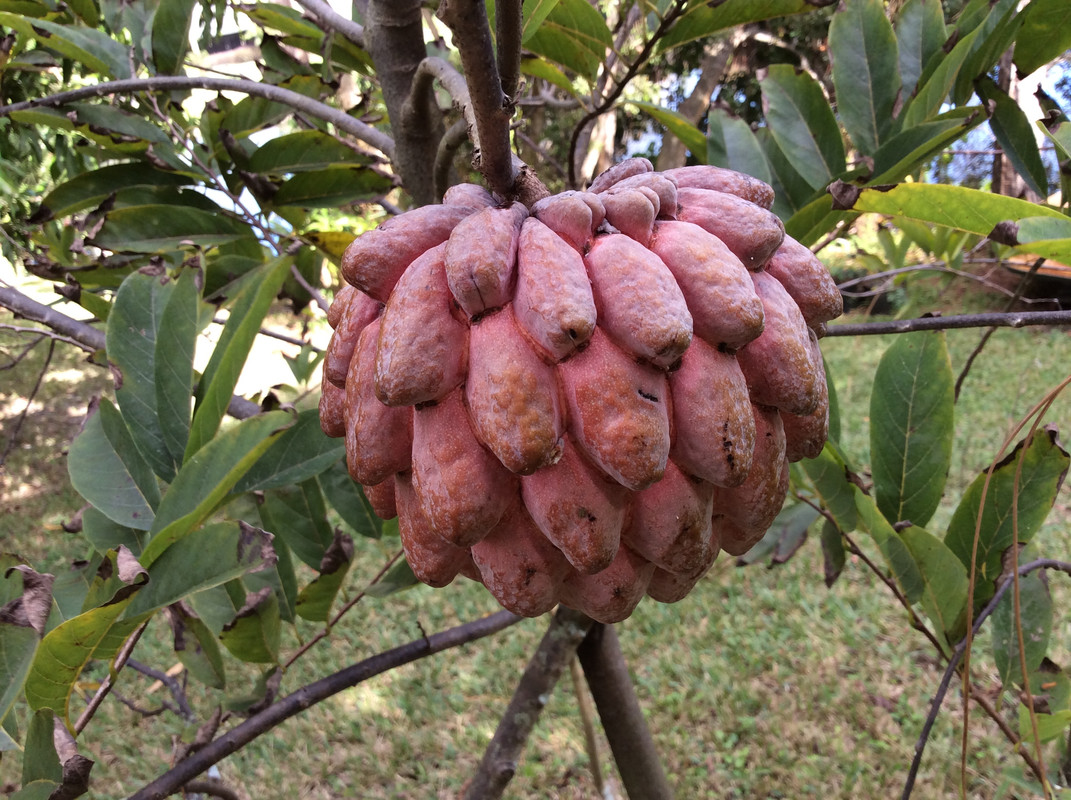 64236B28-DA36-43F6-8C03-E9954DCDB84B