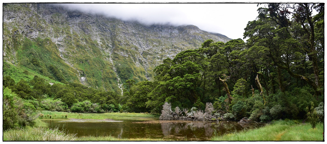 Fiordland NP: Milford Track (enero 2023) - Escapadas y rutas por la Nueva Zelanda menos conocida (24)