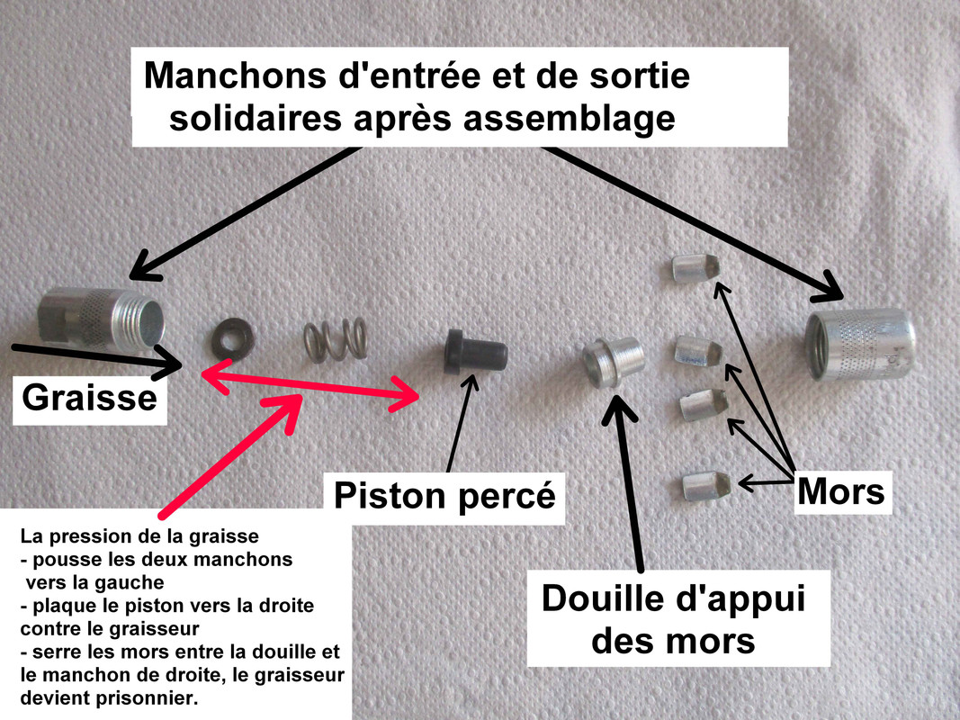 IMG_4753.jpg commentée