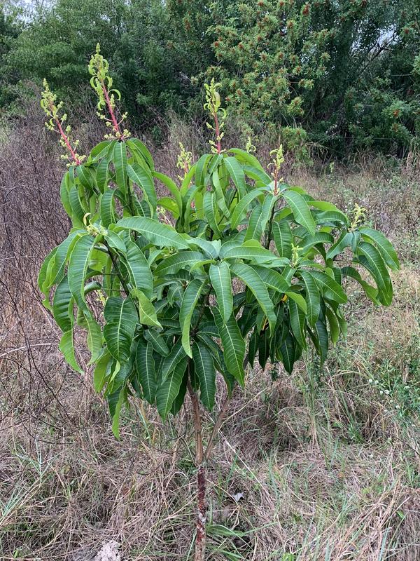 86589834-6BC0-4CF7-BBF3-6D1739FB80A4