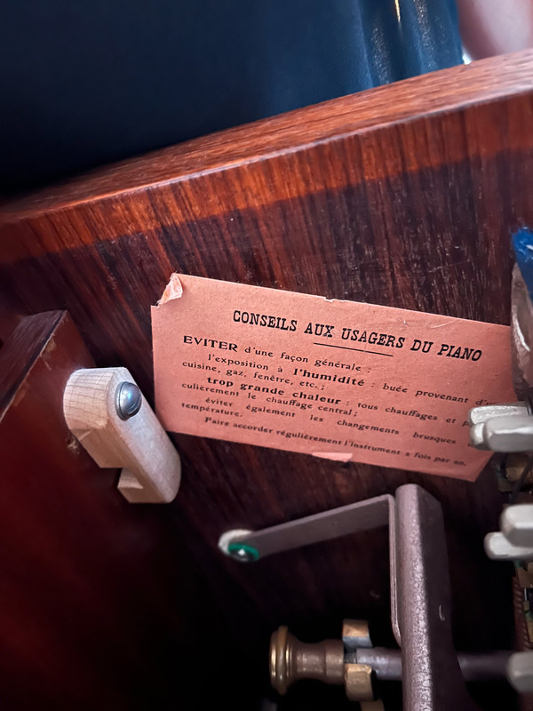 54ce26e1-60b8-11ef-8ae6-e98bef4b1cb6